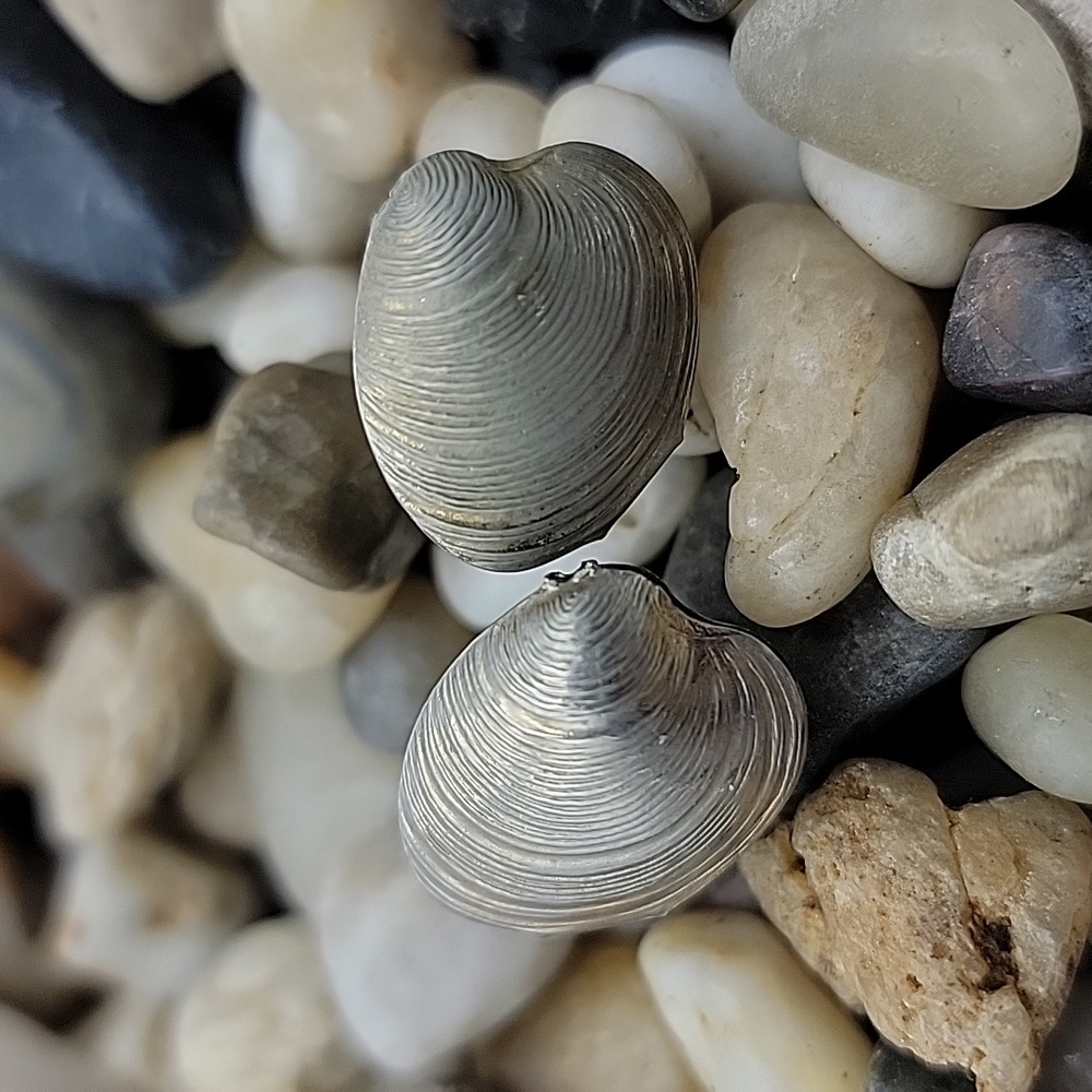 Clam cufflinks